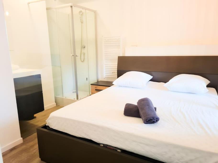 Appartamento Avec Terrasse Et Piscine Nizza